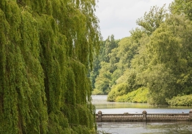 Convenient Location & Accessibility Image